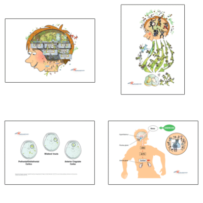 Exercise for the modulation of pain – Four pictures - digital download