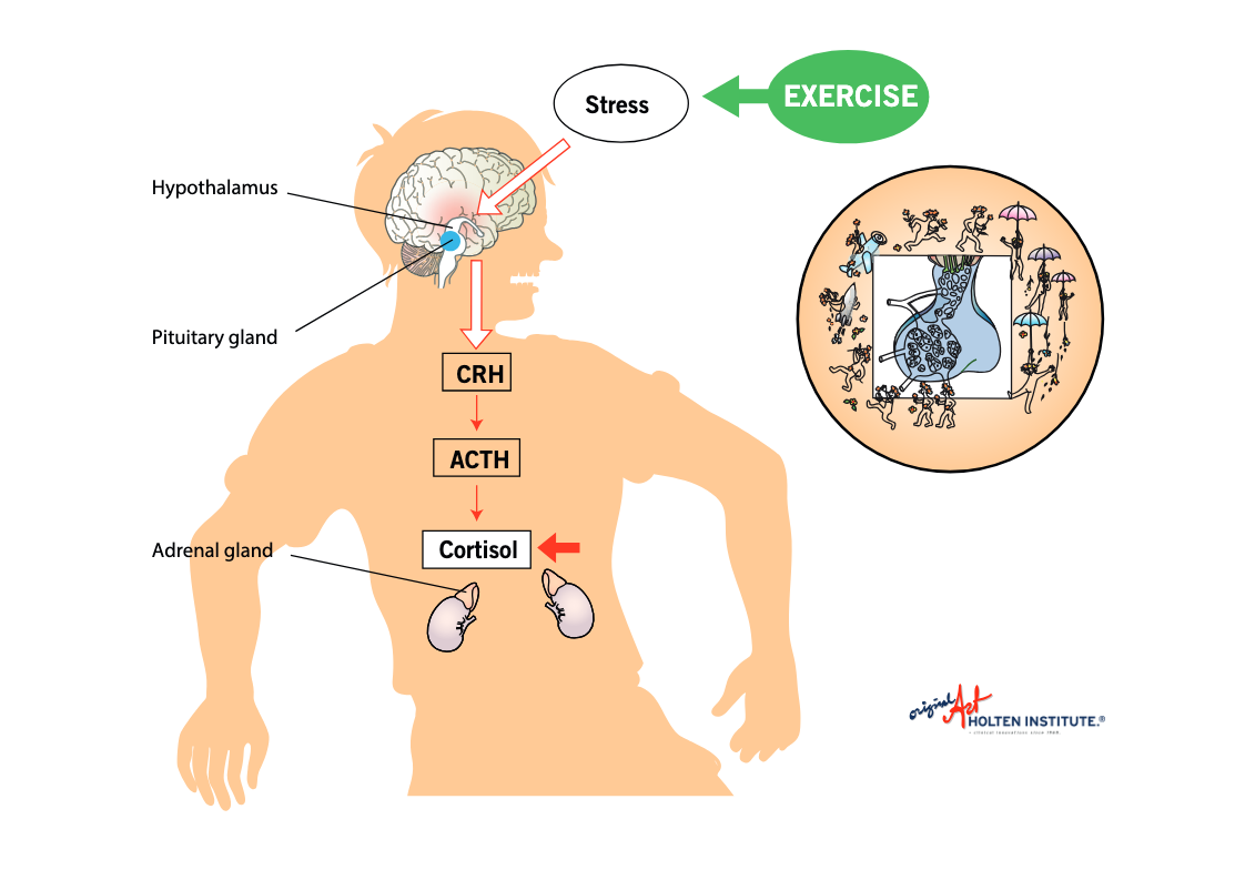 Exercise for the modulation of pain – Four pictures - digital download ...